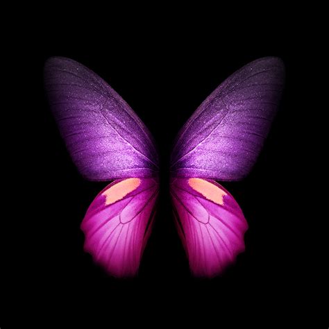 With these tips in mind, we are confident you will find here what you are looking for. Samsung Galaxy Fold Wallpapers İndir - Ücretsiz, Yüksek ...