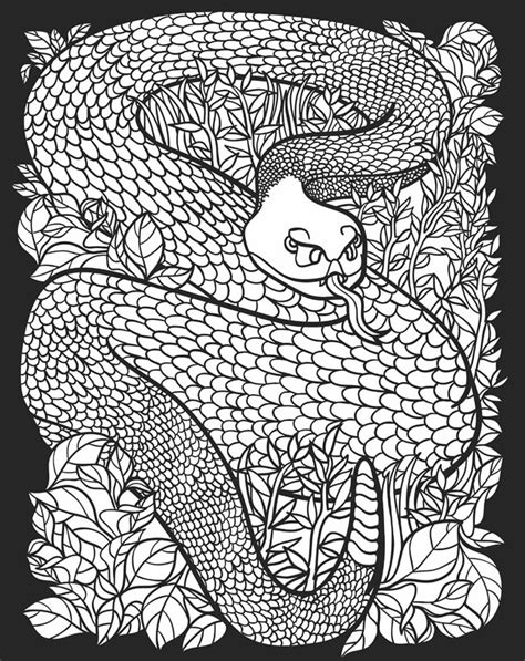 Childhood education nocturnal animals coloring pages free. Childhood Education: Nocturnal Animals Coloring Pages Free ...