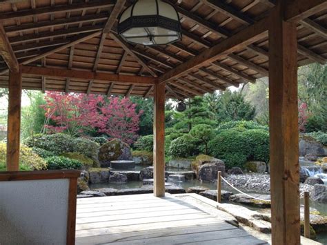 Ausflugstipp: Japanischer Garten Augsburg im Frühling ...