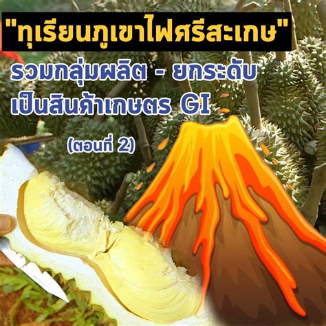 ช่วงนี้หลายคนคงไม่พลาดที่จะรับประทาน ทุเรียน ซึ่งขึ้นชื่อว่าเป็น king of fruits เนื้อและเมล็ดของทุเรียนมีคุณค่าทางอาหารสูงและให้พลังงานสูงมาก. เสียงจากแผ่นดิน season3 EP.8 "ทุเรียนภูเขาไฟศรีสะเกษ" รวม ...