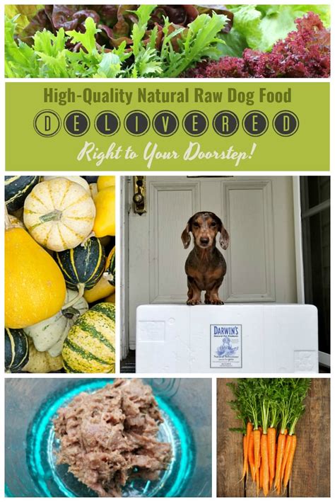 So if you only feed your dog this and at two meals a day, then you're spending about $90 a month. Why Feeding Raw Dog Food Is Important and Why Darwin's ...