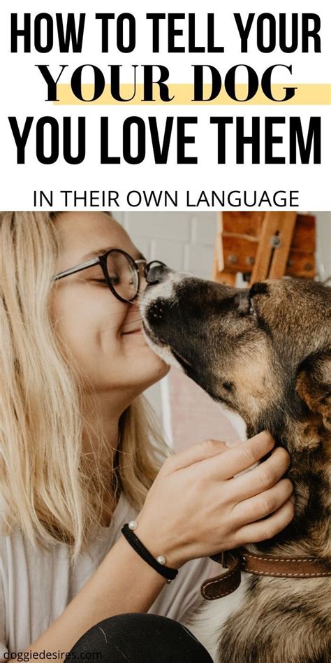 He's not the biggest risk taker but to make a cancer man fall for you, you need to be a homebody. How To Tell Your Dog You Love Them In Their Own Language ...