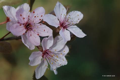 Man hat dann anstatt 7 werktage angeblich 2 monate zeit, um sein geld abzuheben, bei mir kam. Geht doch! | Frühling Nun ist er endlich kommen doch In ...