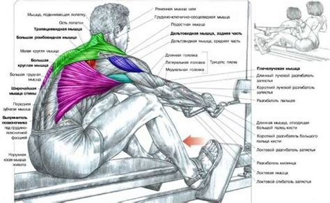 Back Exercise - Workout Training - PROJECT NEXT - Bodybuilding & Fitness Motivation ...