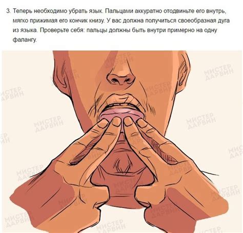 Как научиться свистеть