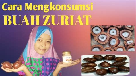 Buah zuriat digeprek menggunakan palu atau kampak (tidak perlu dibelah). Cara Mengkonsumsi Buah ZURIAT!!! - YouTube