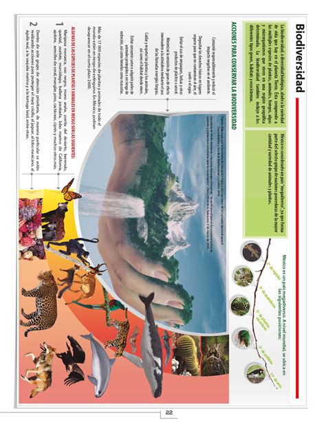 Atlas de geografía del mundo 6 grado 2019 a 2020 pdf. Atlas 6 Grado 2020 - Atlas Sexto Grado 2019 2020 | Libro Gratis : Создание и обзор характеристик ...