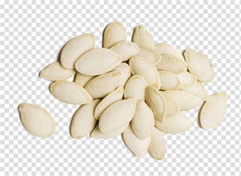 Check spelling or type a new query. White squash seed lot, Pumpkin seed Soup joumou Calabaza ...