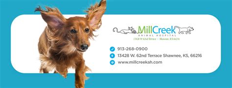 We are pleased to provide a wide variety of veterinary services for companion animals in nolensville and the surrounding areas. Mill Creek Animal Hospital, Vet in Shawnee KS