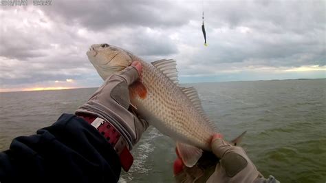 Check spelling or type a new query. Arroyo City Fishing: Fishing in a STORM!! - YouTube