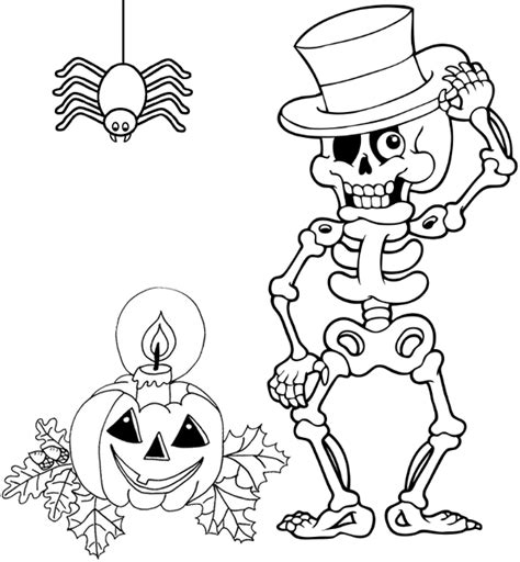 ✓ free for commercial use ✓ high quality images. Skeleton Halloween Pumpkin and Spider Coloring Page ...