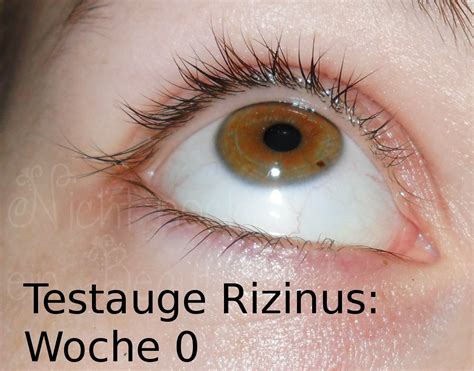 Rizinusöl wird schon seit langer zeit als hausmittel gegen haarausfall und schütteres haar verwendet. Nicht noch ein Beautyblog... : Selbstversuch: längere ...