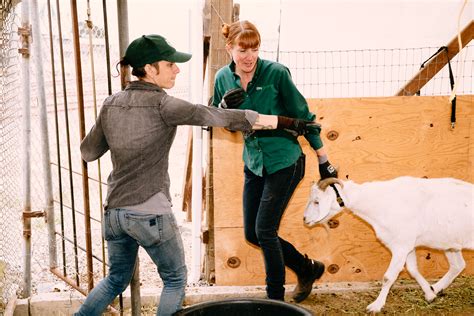 The video starts by showing valverde approaching a small clearing in a wooded area where. Chinese Woman Killing A Goat - Goats | Howling Duck Ranch ...