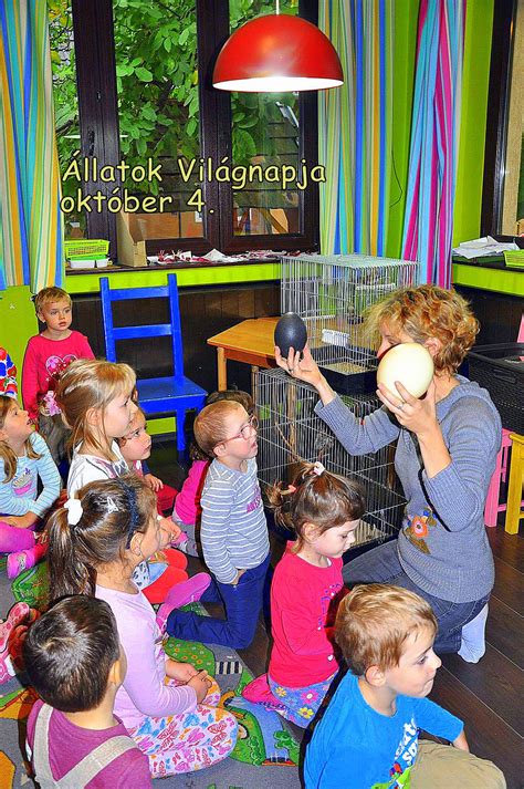 Az állatok fontos részei a természetnek, mivel létfontosságú szerepet játszanak a környezetvédelemben és az emberi jólétben. Állatok világnapja - október 4. - Green Pony Nyelvovi - Az ...