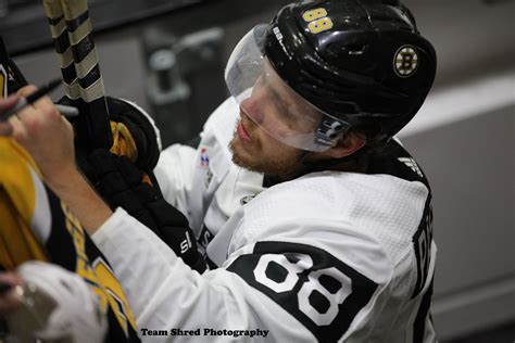 David pastrnak wearing a patriots 'do your job' hat. Circling The Wagon » David Pastrnak (88)