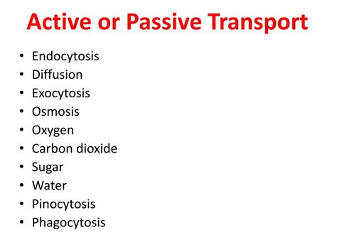 We did not find results for: PPT - Fluid Mosaic Model PowerPoint Presentation, free ...