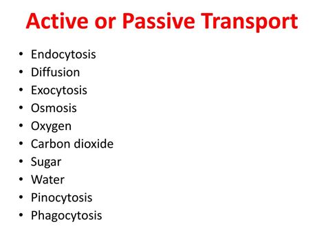 .placed in a hypotonic solution, a. PPT - Fluid Mosaic Model PowerPoint Presentation, free ...