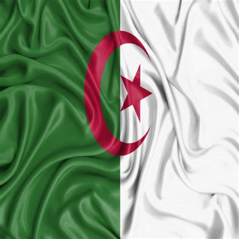 تعداد سكان الجزائر قبل عام 2021. صور علم الجزائر , هكذا عبر الجزائريين عن انتمائهم لوطنهم ...