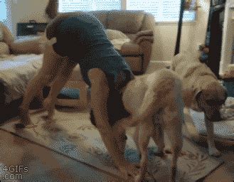 Mom big breasted milf gets her. 15 Dog Breeds That Will Happily Go On A Run With You ...