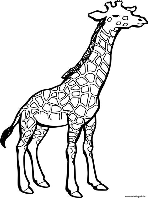 Une girafe avec son visage innocent et son grand cou est très facile à dessiner. Coloriage dessin d une girafe - JeColorie.com