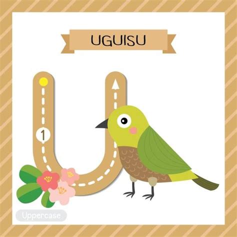 As a result, whether you're looking for an unfamiliar number or a previously k. U is for Uguisu = Japanbuschsänger | Alphabet and numbers ...