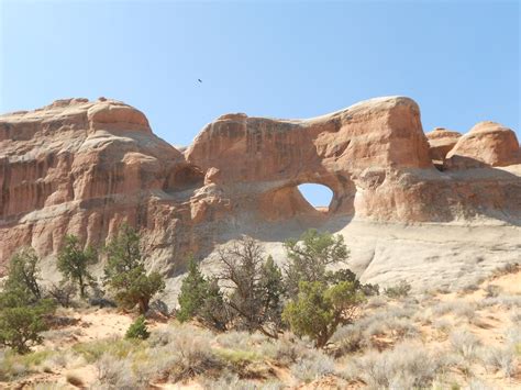 Check spelling or type a new query. Tunnel Arch Devils Garden Arches National Park - National ...