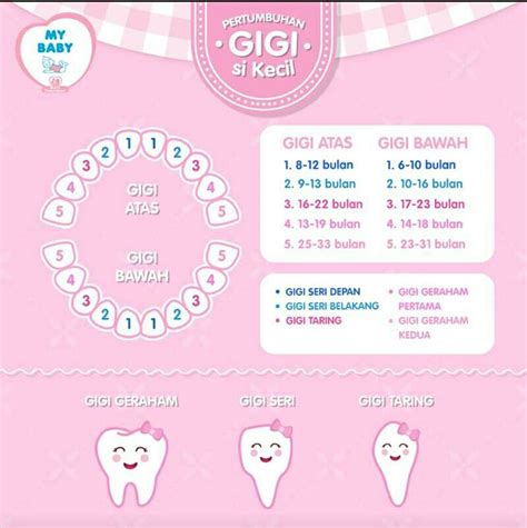 Pada umumnya bayi mulai tumbuh gigi ketika memasuki usia 5 bulan. Beautiful Little Stars: Cara Mengatasi Bayi Tumbuh Gigi ...
