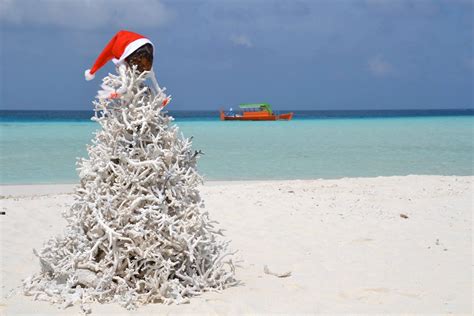 Africa no salaryman (tv) sub indo. Vacanze di Natale 2016 alle Maldive in guest house (Isola di Keyodhoo) | Traveltik: the blog!