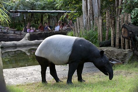 Der zoo in leipzig die idee am ostersonntag einen ausflug zum leipziger zoo zu machen, hatte nicht nur wir. Zoo Leipzig - Bilder