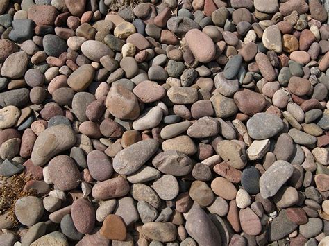 While most pennies are only worth a few bucks, highly coveted ones might be sitting in your pocket or stuck somewhere in your couch cushions. River Rock | Aledo, Burleson, Fort Worth TX | Big Tex Stone | River rock, Mexican beach pebbles ...