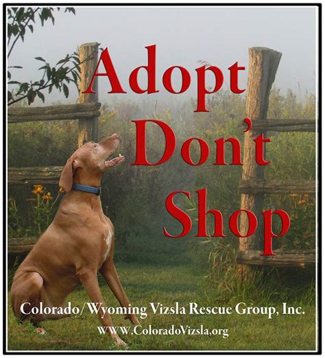 Pawsco is about collective impact; Animal Adoption Colorado - SOSanimaux