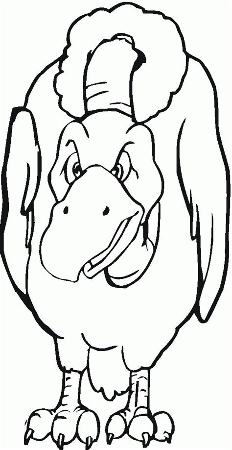 ← gecko coloring pages↑ animals coloring pagespigs and piglets coloring pages →. Vulture Coloring Pages - Coloring Home