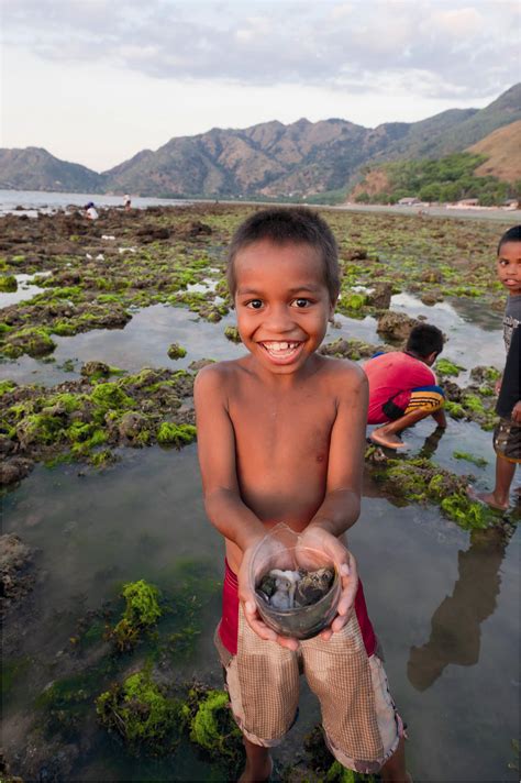 It's a very popular type of. Coral Triangle Book | Asian Development Bank