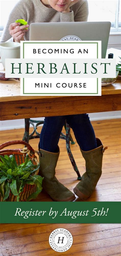 See how to spot which herbalism courses are great, and which are a waste of time. What You Need To Know About Becoming An Herbalist ...