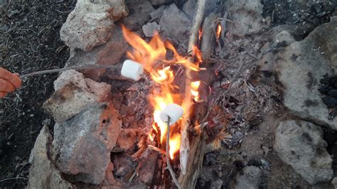 The parkwide fire danger level for yellowstone is now very high and stage 1 fire restrictions are in effect. Smores and marshmallows on the camp fire in Yellowstone ...