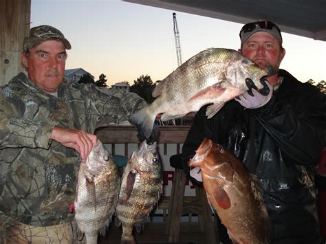 That all changes one day when scott nails the pizza delivery guy brings a nice steaming sausage pizza to the door. Wendell Mercer and Brian Steele brought in these fine ...
