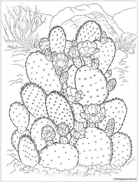 On this page you can download and print cactus coloring pages in high quality for free. Flowering Cactus On The Desert Coloring Pages - Nature ...