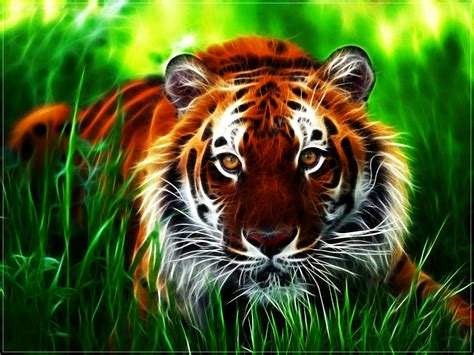 Here are only the best hd laptop wallpapers. Tiger wallpapers hd free download