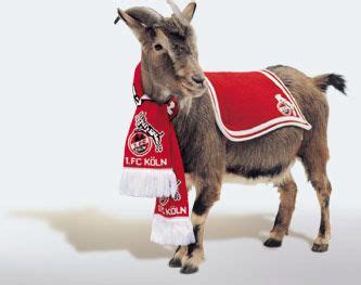 What happens when hennes dies? Hennes | FC#Hennes | Pinterest
