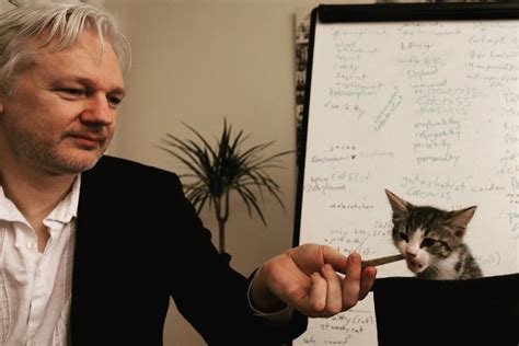 The trademark is to be used for public speaking services; Julian Assange needs to take care of his cat, or it'll be given away, Ecuador says - The Verge