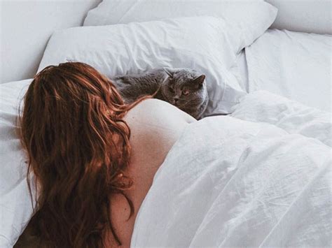 Feel free to sigh, moan. Cats Sleeping in Your Bed: A Good Idea?