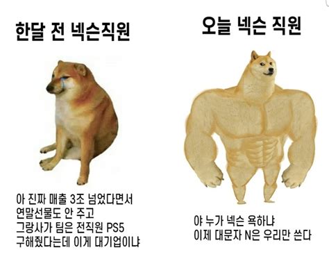 기존에 입력된 연봉 정보와 비교했을 때. 김짤닷컴 - 현재 넥슨사원들 상황