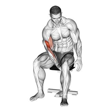 Wissenswertes übers krafttraining zu hause als anfängerin genügt es vollkommen, wenn du mit deinem eigenen körpergewicht startest. ᐅ Bizeps ohne Geräte: Top 5 Übungen (Bilder + Videos)
