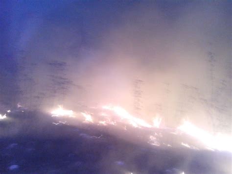 La exposición de los seres vivos a un incendio puede producir daños muy graves hasta la muerte. Se registra otro incendio forestal, ahora en el campus ...