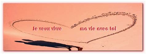 An alternative version featuring tunisiano became popular after releasing the music video for the single. SMS pour dire à toi avec qui je partage ma vie