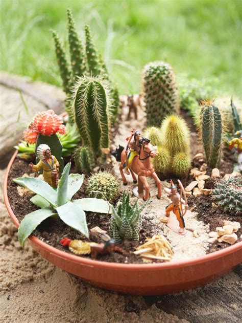 Orange spikes on top, white spikes elsewhere. The Koenigs Create: 15 Beautiful Indoor Cactus Gardens