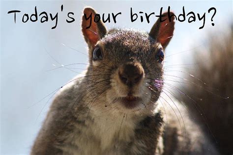 Funny happy birthday pictures - funny birthday pics Undoubtedly, you should congratulate a birthday lady.