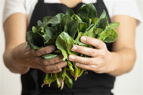 Delicati, versatili, semplicissimi da cucinare: Come cucinare gli spinaci: bolliti, saltati in padella, al ...