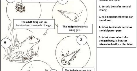 Maybe you would like to learn more about one of these? Soalan Iq Sains - Kuora 2