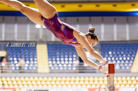 See more ideas about gymnastics, female gymnast, gymnastics pictures. 1454_DSC0151 | Gymnastics, Sports, Athlete